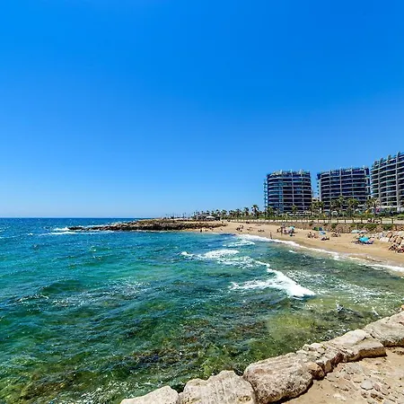 Bennecke Boston * Torrevieja